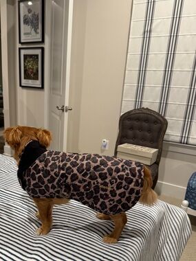 NWT Barbour  Leopard-Print All Season Quilted  Dog Coat